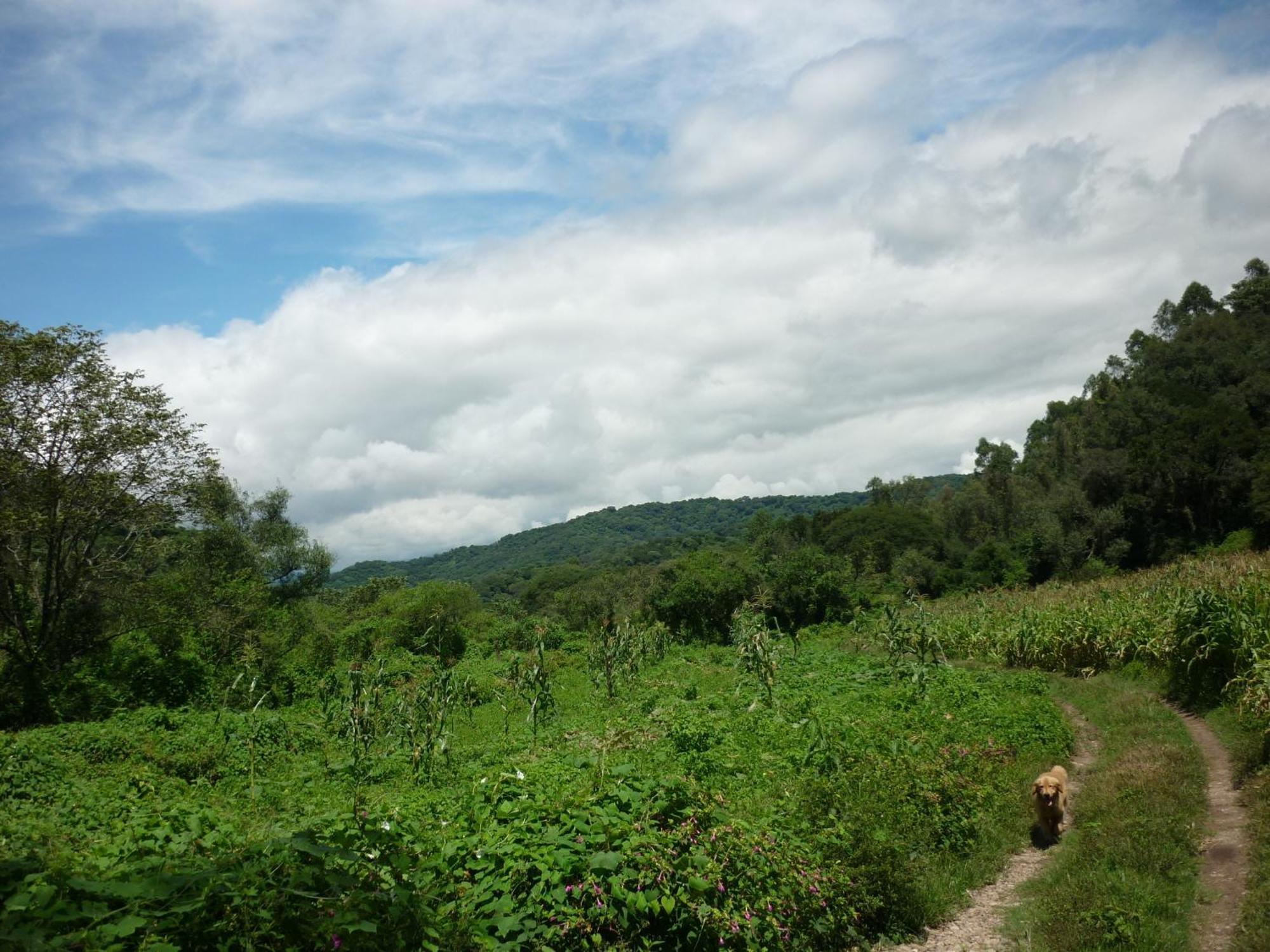 Finca La Colorada サンサルバドールデフフイ エクステリア 写真