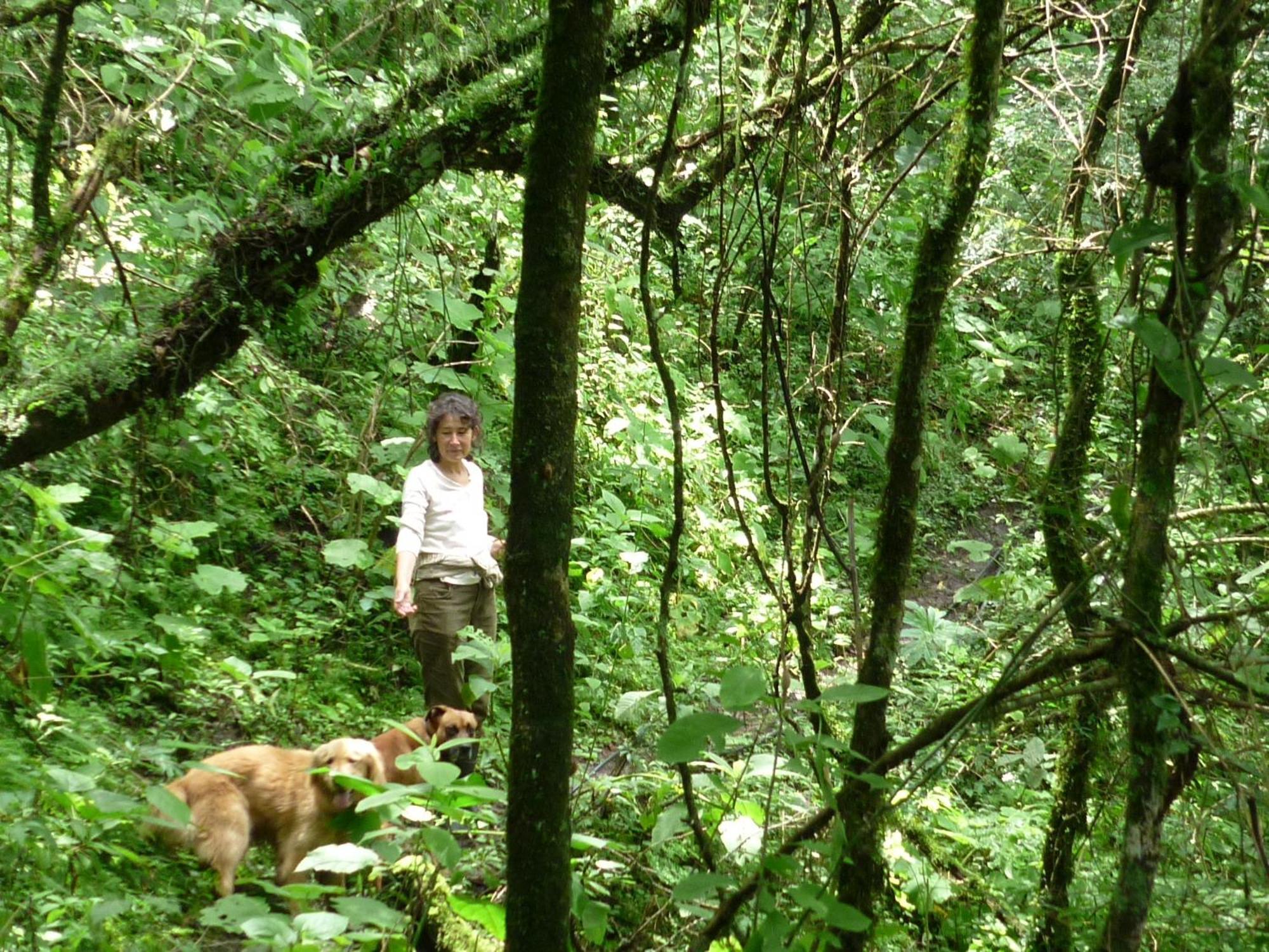 Finca La Colorada サンサルバドールデフフイ エクステリア 写真