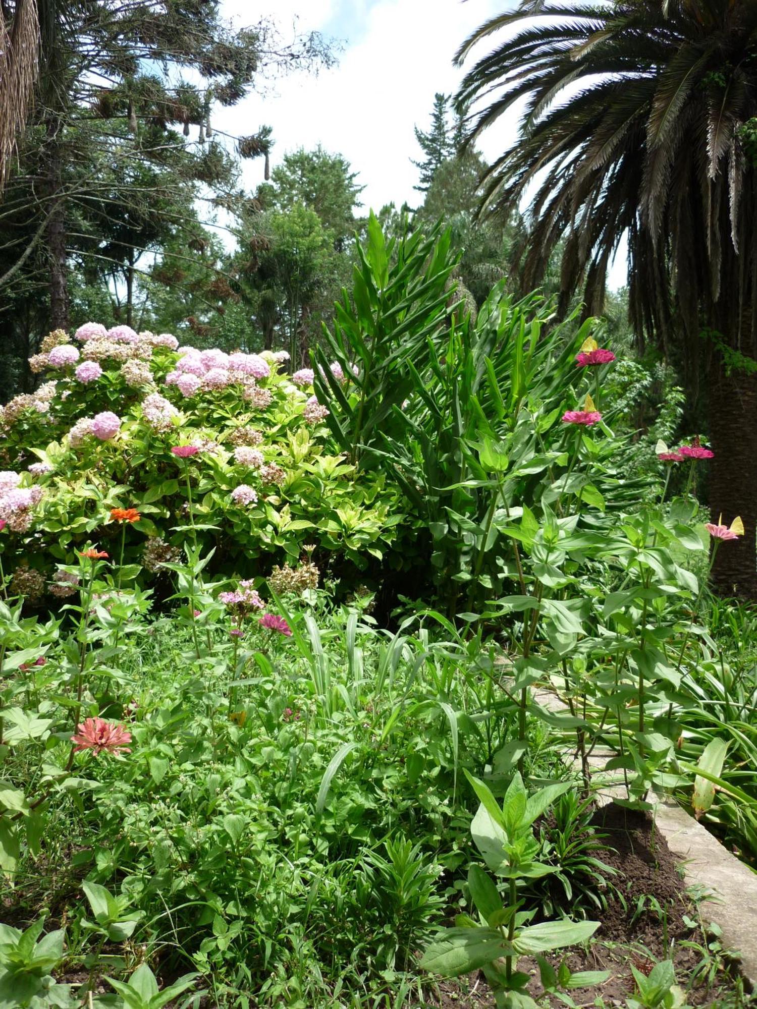Finca La Colorada サンサルバドールデフフイ 部屋 写真