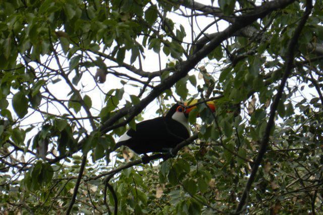 Finca La Colorada サンサルバドールデフフイ エクステリア 写真