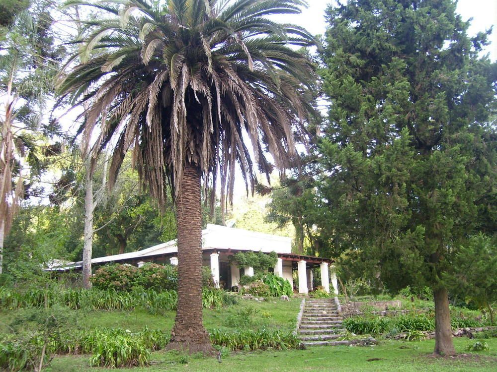 Finca La Colorada サンサルバドールデフフイ エクステリア 写真
